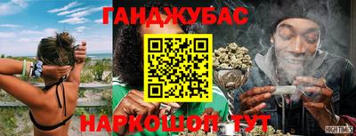 не бодяженный Кингисепп