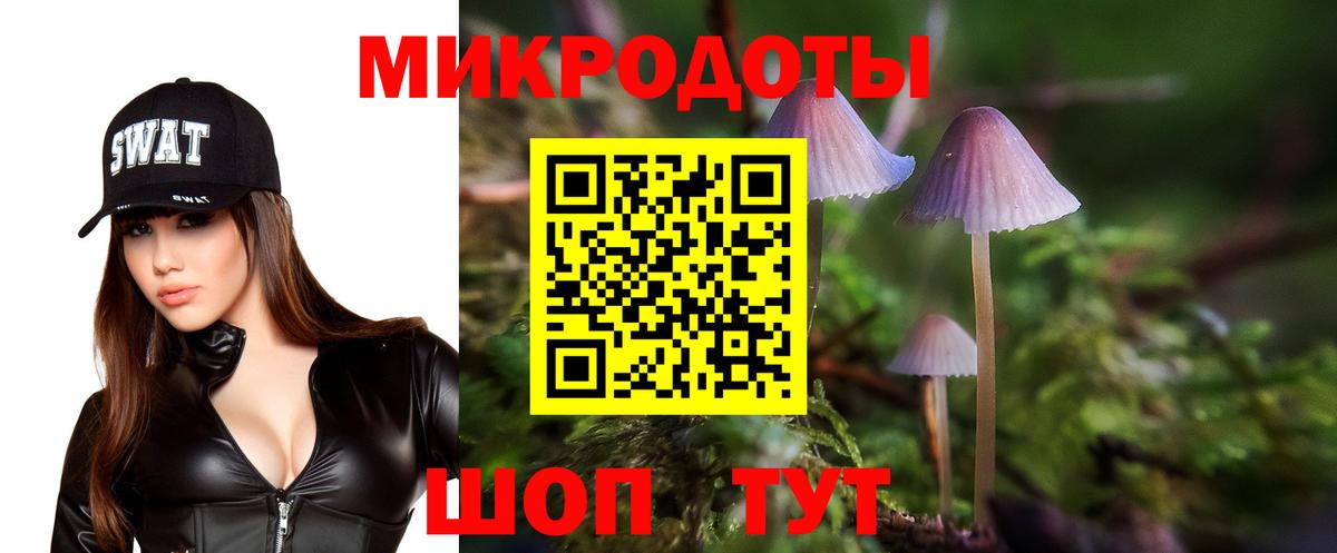 Псилоцибиновые грибы GOLDEN TEACHER  Вход с VPN  Кострома  Галлюциногенные грибы мухоморы 